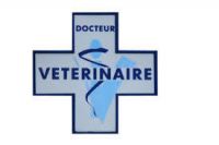 Mandatement-des-veterinaires-sanitaires_large.jpg